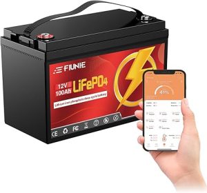 12. FIUNIE 12V Lithium Battery for RV