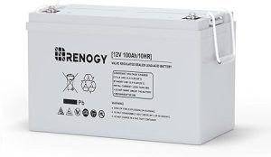 2. Renogy 12 Volt Deep Cycle AGM Battery for RV